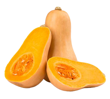 Abóbora Butternut